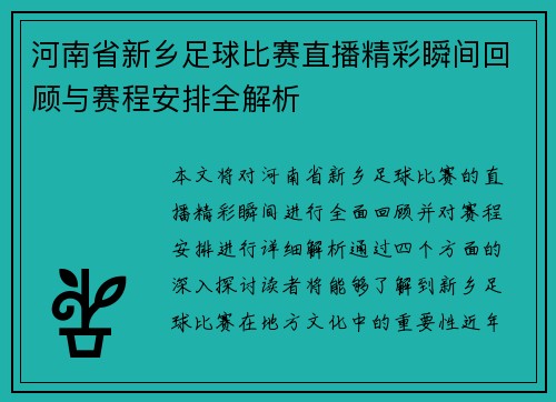 河南省新乡足球比赛直播精彩瞬间回顾与赛程安排全解析